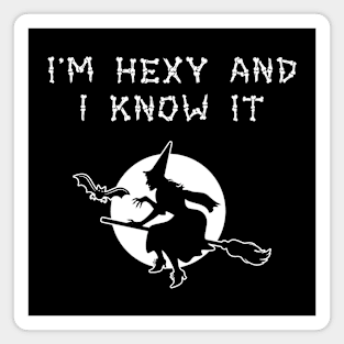 I'm Hexy and I Know It Magnet